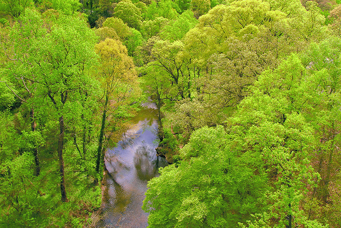 Rock Creek Park in spring foliage, as viewed from Taft Bridge. (© Susan Austin Roth)