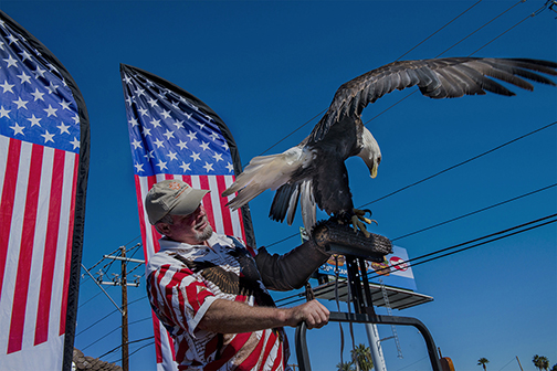 An American eagle at the Veteran’s Day Parade, Phoenix, AZ (2014).