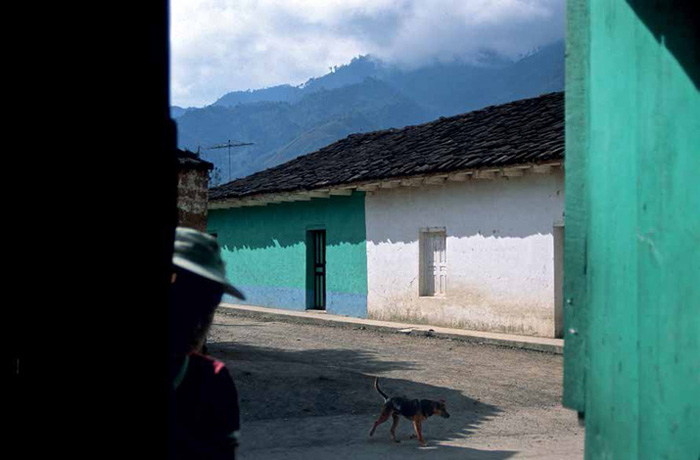 Three-legged dog, Nabaj, Guatemala, 1993.