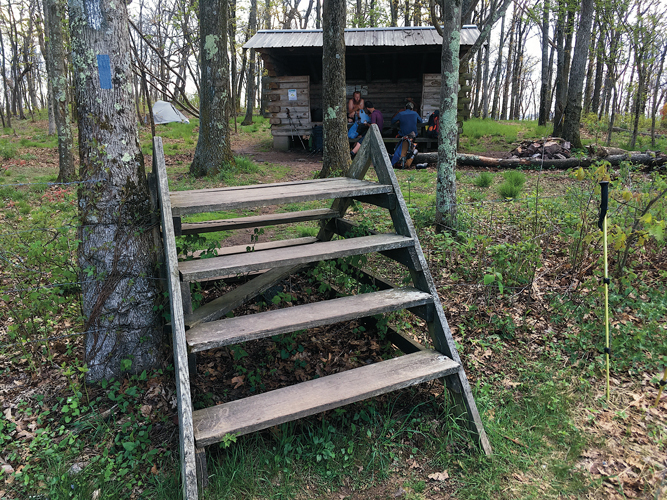 Rice Field Shelter on Peters Mountain is of classic construction: three-sided with log walls. The steps facilitate crossing a fence along a property boundary.