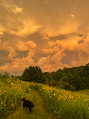 Sunset at Prairie Trace Farm.