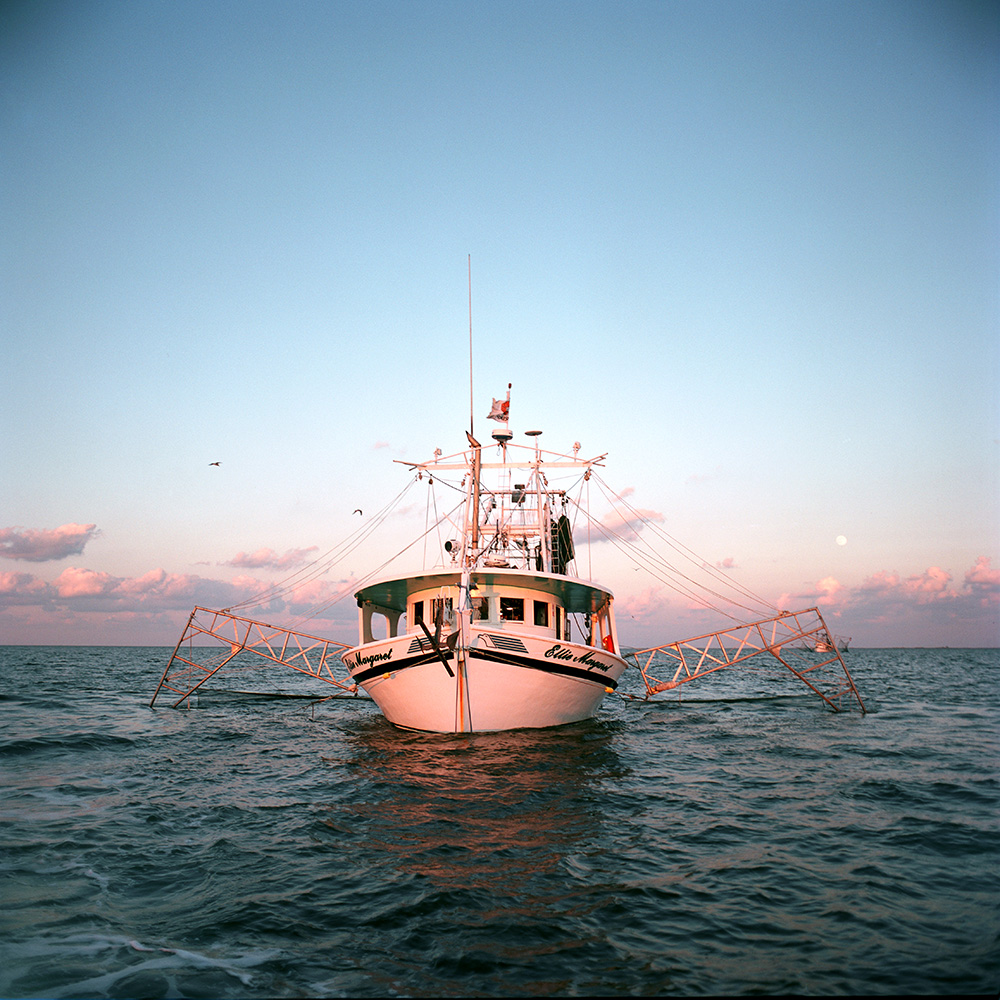 GFT_FT_Slideshow_01_Blatty