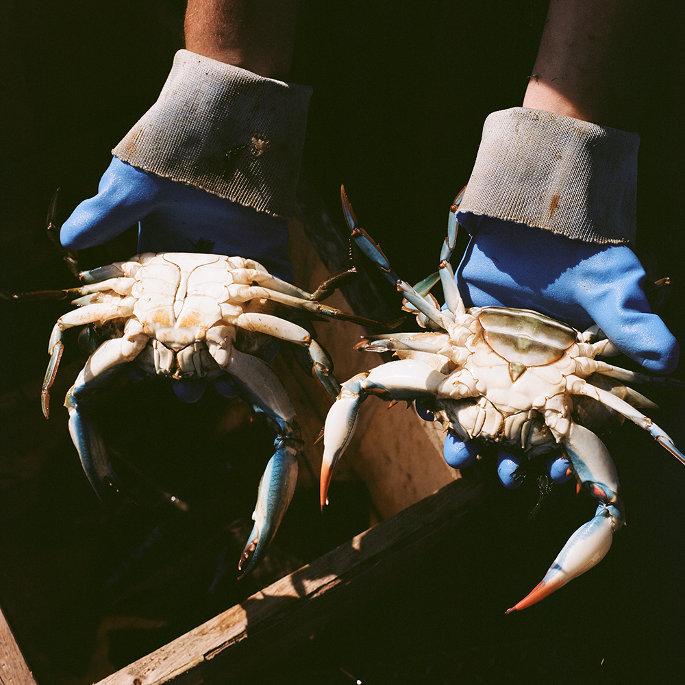 the Fish Town project: Preserving Louisiana’s fishing communities.