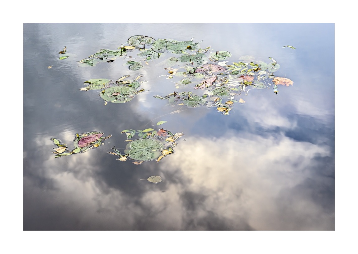 Giverny Russek 04
