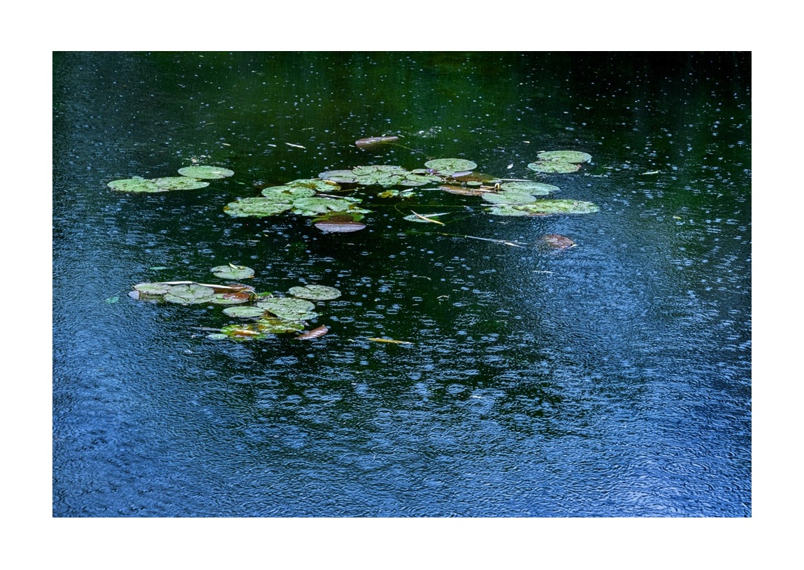 Giverny Russek 07