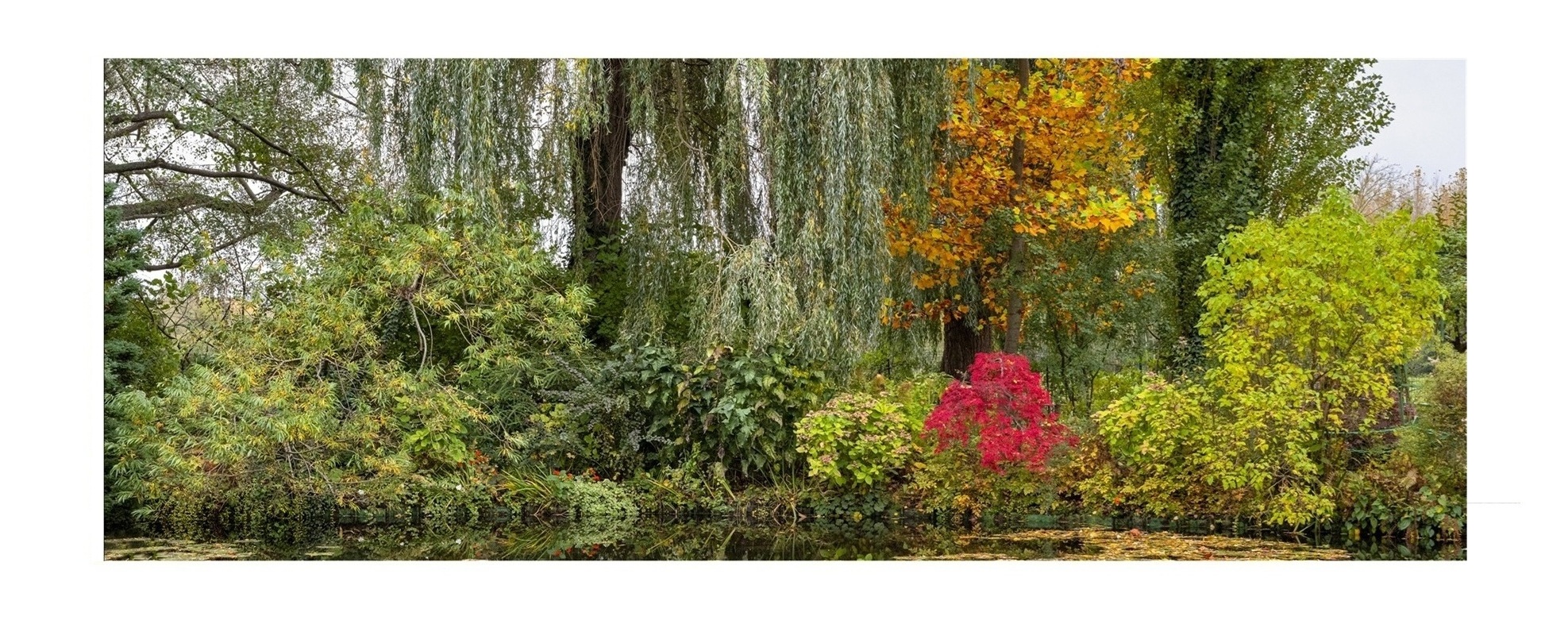 Giverny Schienbaum alt 01