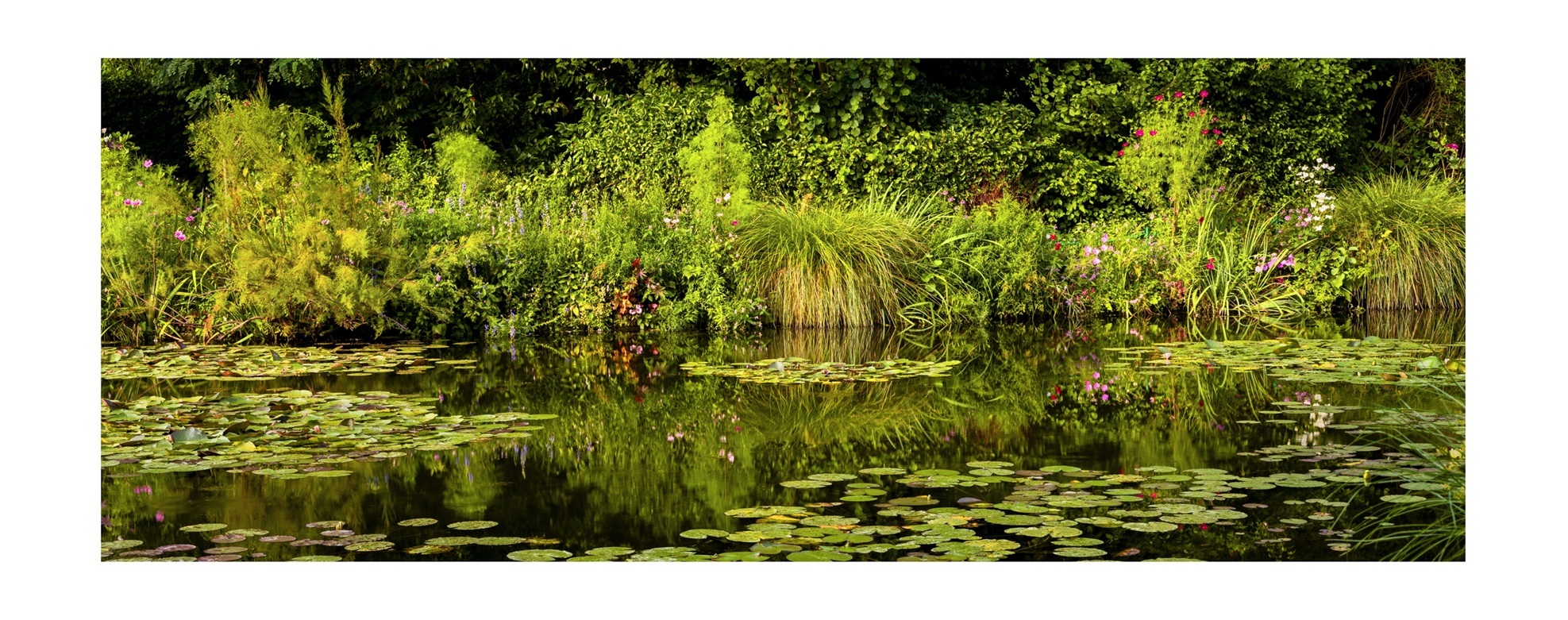 Giverny Schienbaum alt 04
