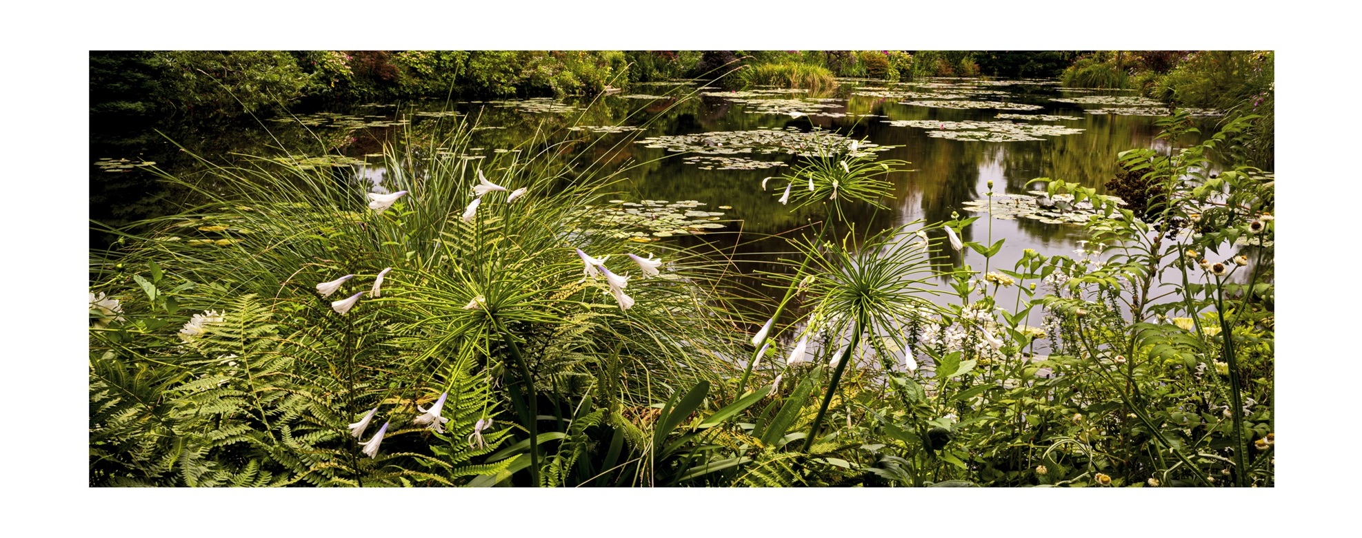 Giverny Schienbaum alt 06